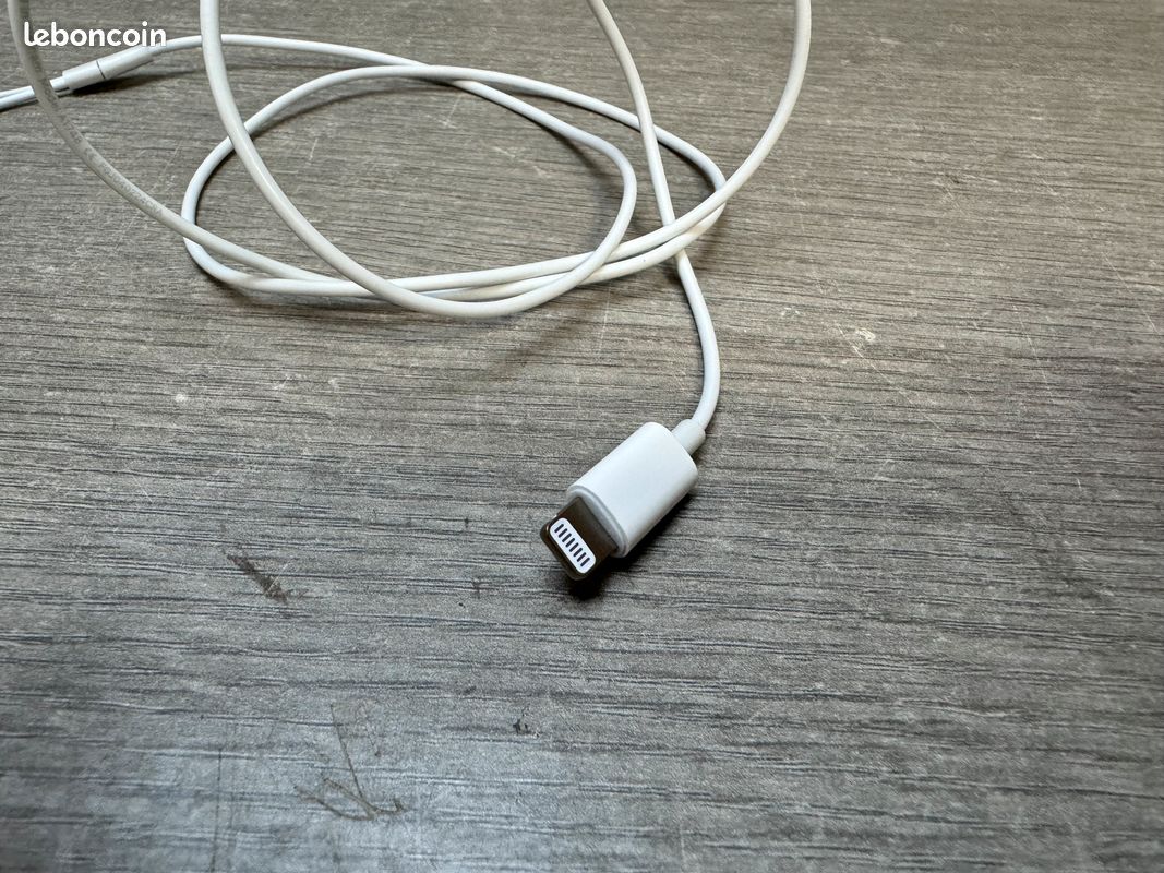 Ecouteur filaire Apple EarPods (image 3)
