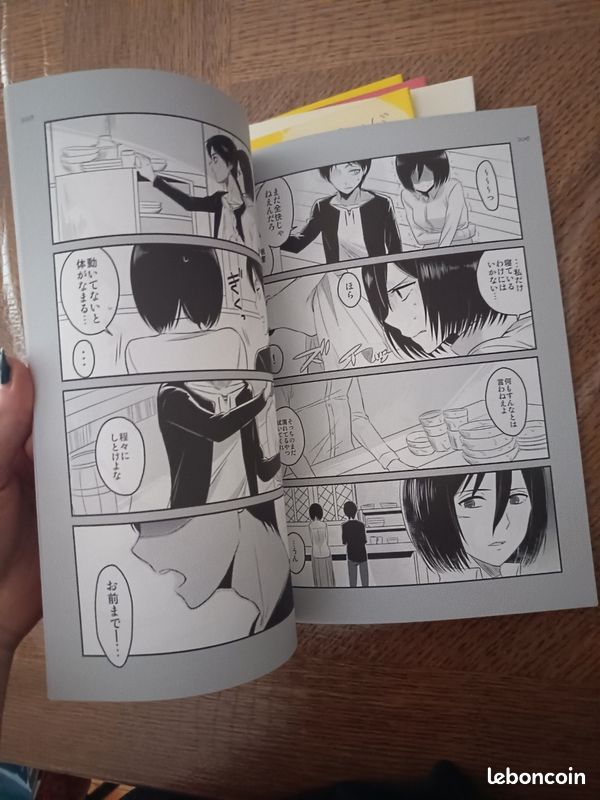 Lot fanbook attack on Titan (image 6)