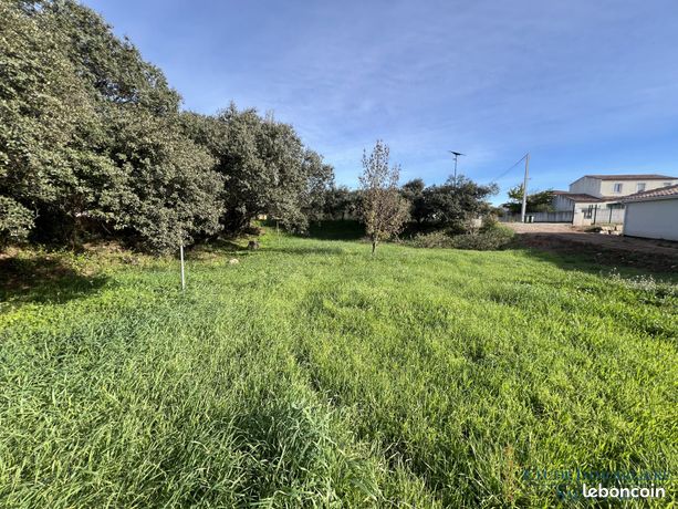 Terrain 800 m² Canet