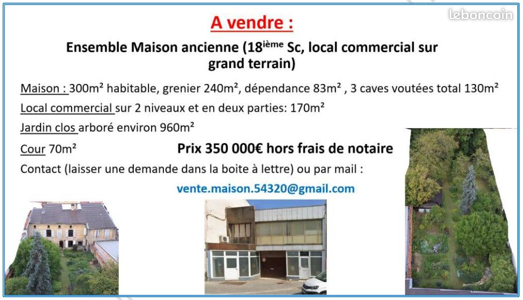 Maison 12 pièces 300 m² · à Maxéville · 300 m² · 350 000 €