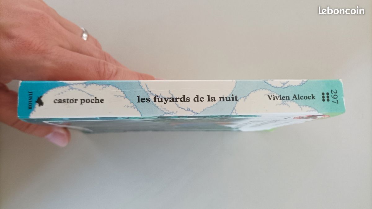 Les fuyards dans la nuit (image 3)