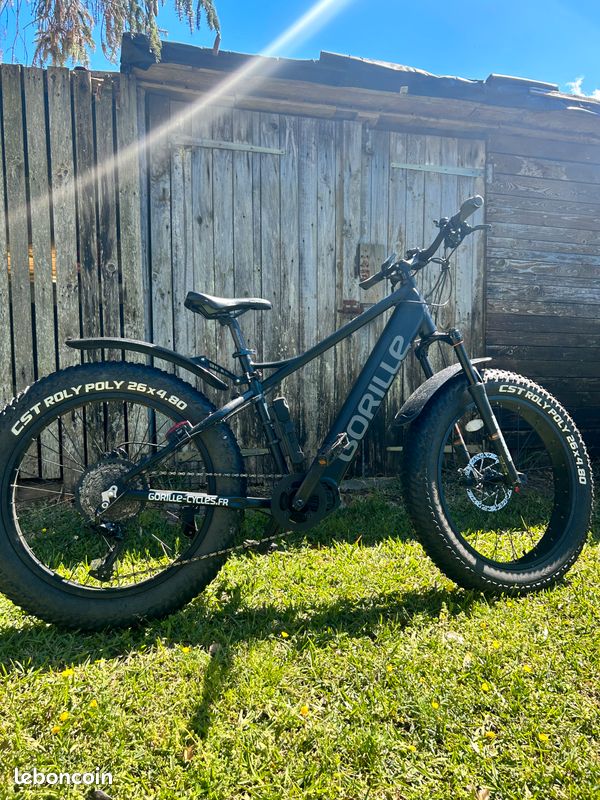 Vtt gorille athlete Vélos