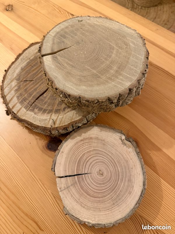 Décoration Intérieure Et Présentation Visuelle