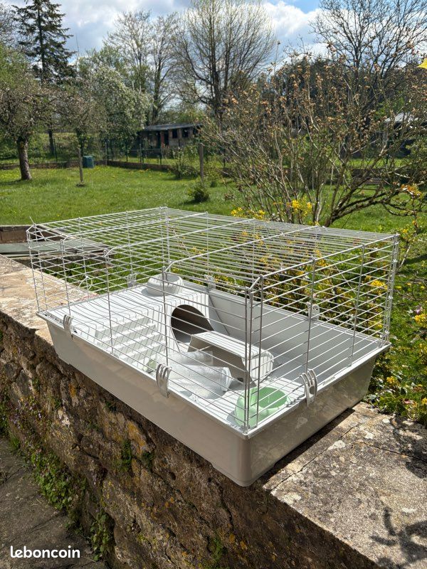 Vend cage pour lapin (image 3)