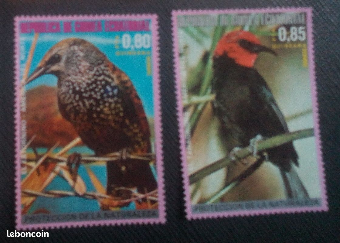 Timbre Guinee Equatorial Yt 97 A/B Oiseaux D'amérique Du Nord 1976 ( 321205 ) (image 1)