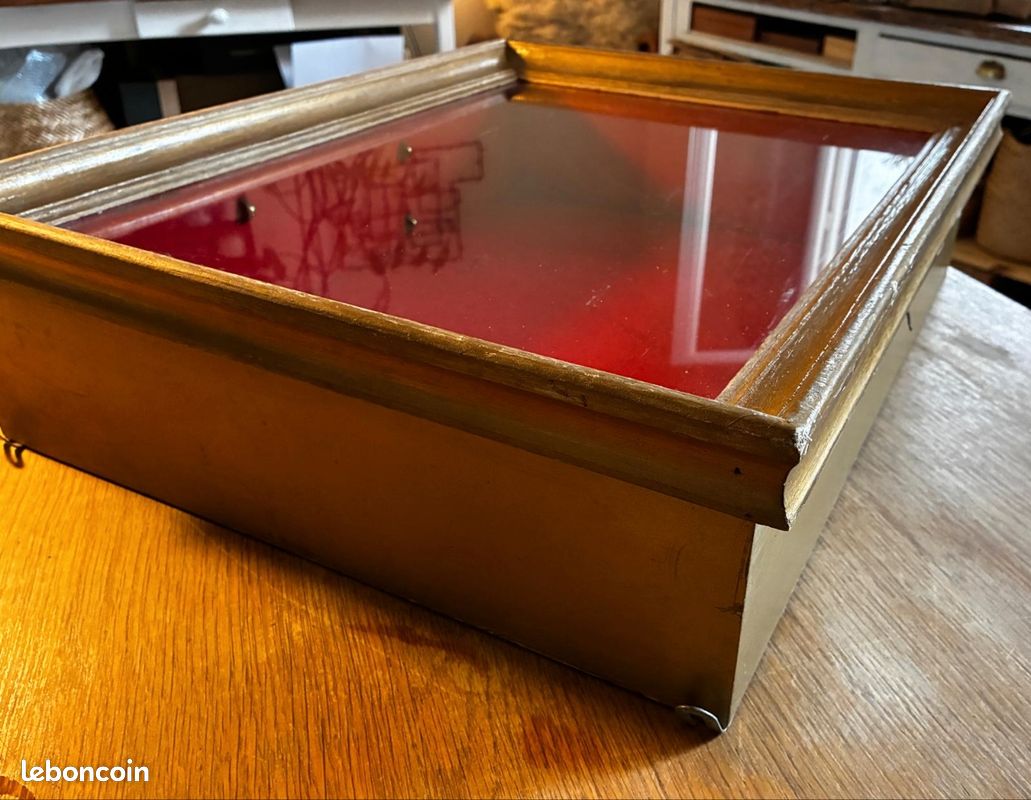 Vitrine d'antiquaire ancienne à poser (image 4)
