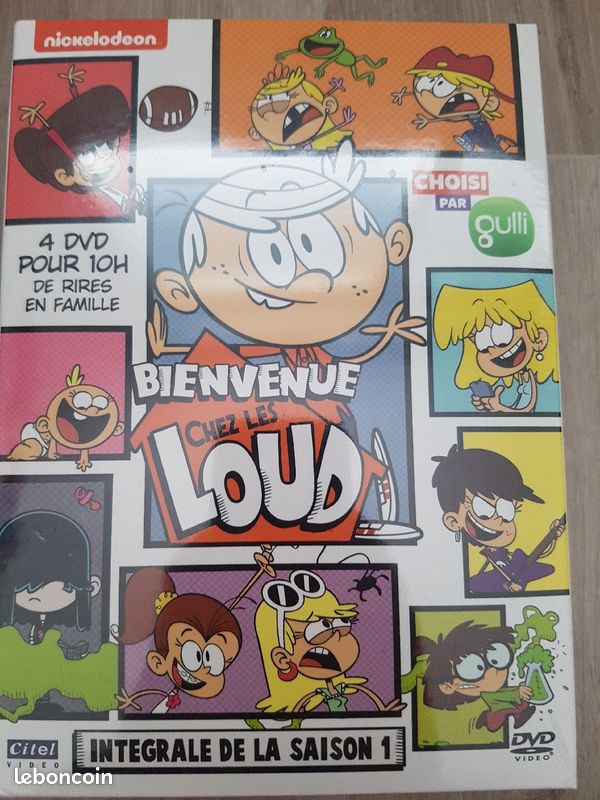 Je vends mes DVD bienvenue chez les Loud et livre (image 3)