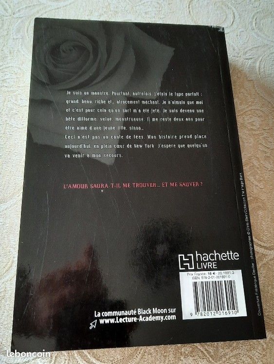 Livre "Sortilège" Alex Flinn (image 2)