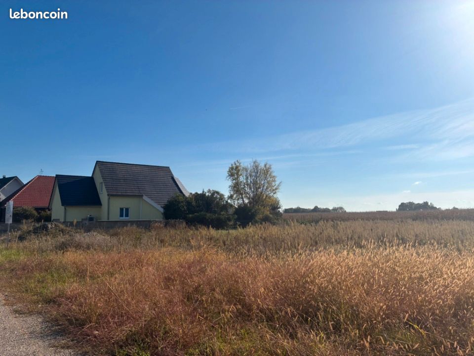 Terrain 346 m² Schwobsheim · 65 740 €