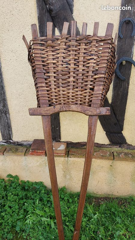 Hotte vendange (image 3)