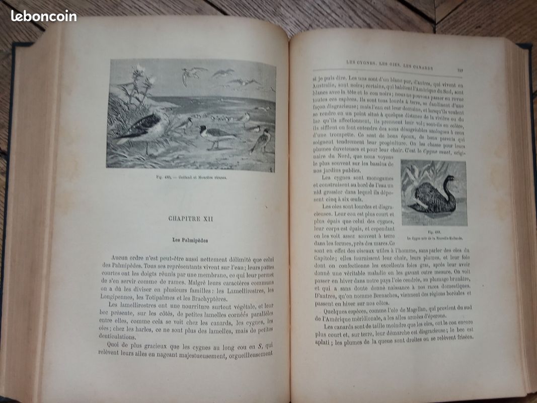 Livre ancien (image 4)
