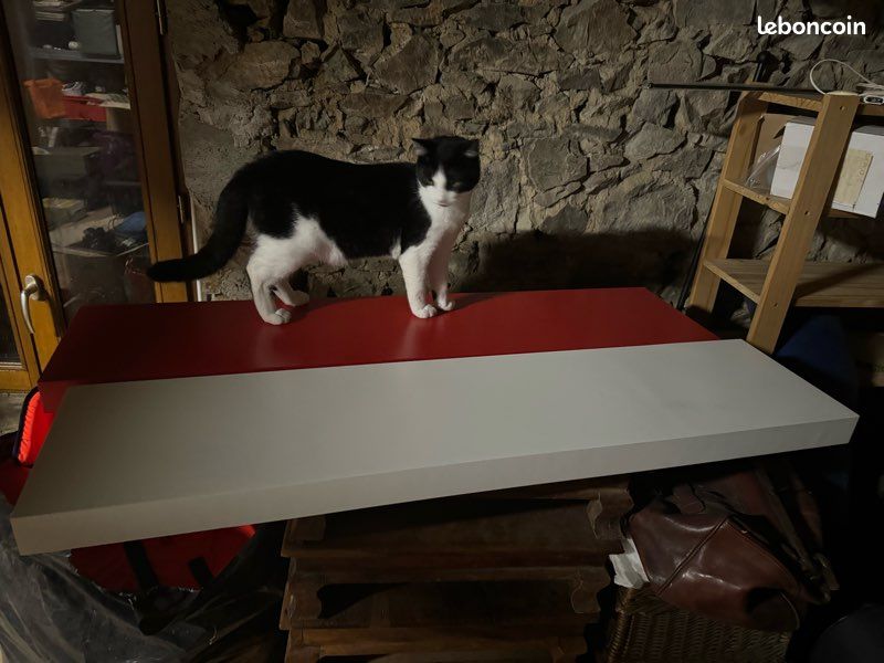 Lot 2 Étagères IKEA 1m10 (image 1)