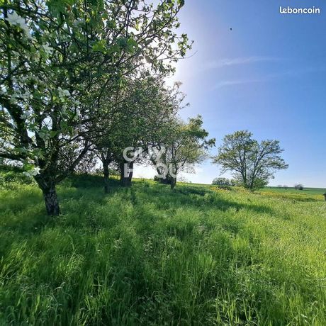 Terrain Saint Saturnin Du Bois