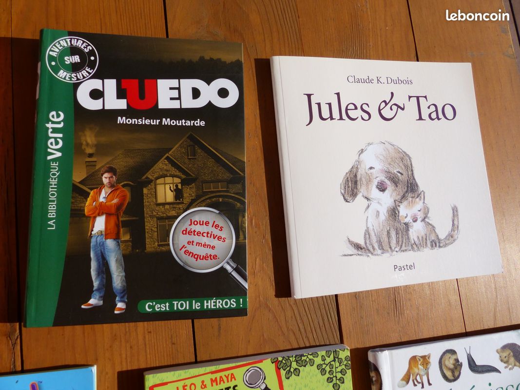 Livres enfants 12 (image 3)