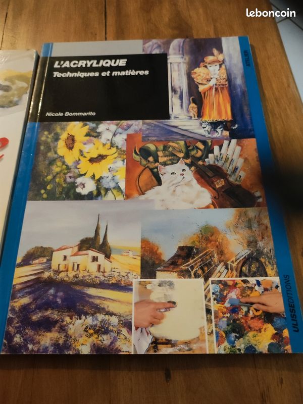 Lot livre broché technique aquarelle et acrylique (image 2)