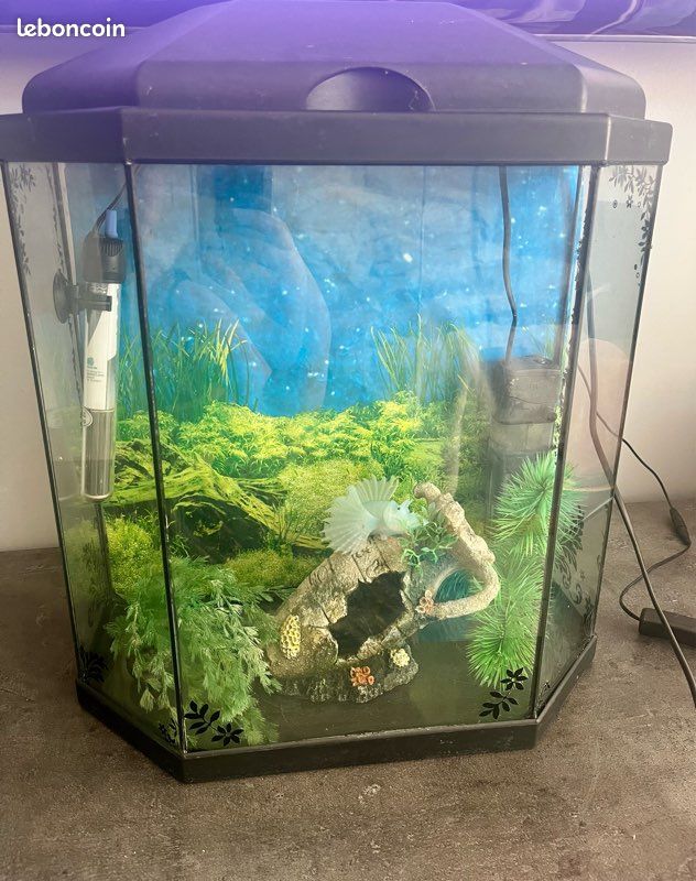 Aquarium octogonal 30L complet avec chauffage (image 1)