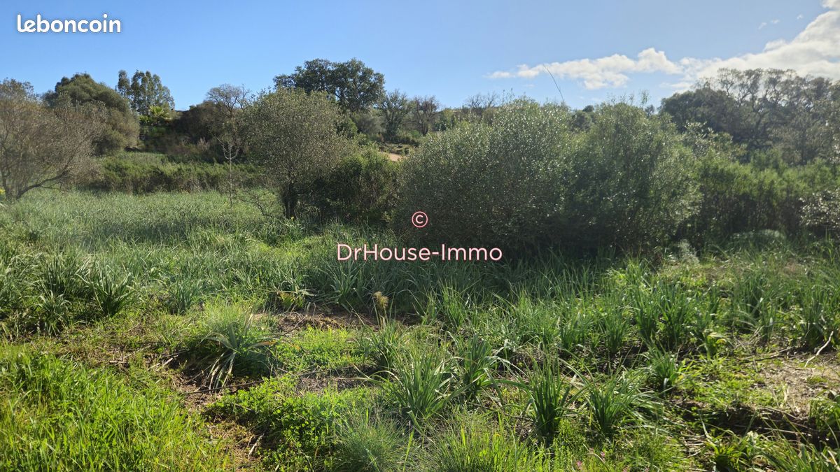 Terrain 1000 m² · à Zonza · 1 000 m² · 265 000 €
