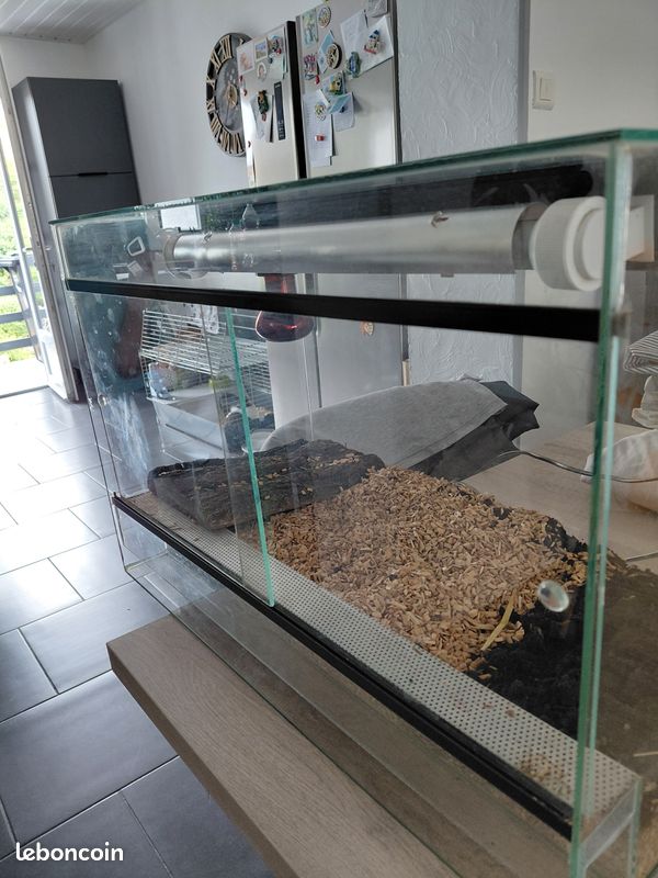 Un terrarium (image 1)