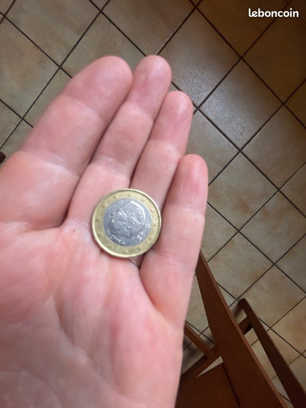 Pièce un euro (image 1)