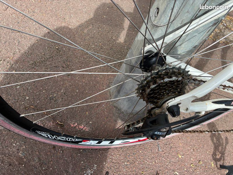 Vélo de course Interom Campagnolo aluminium (image 8)