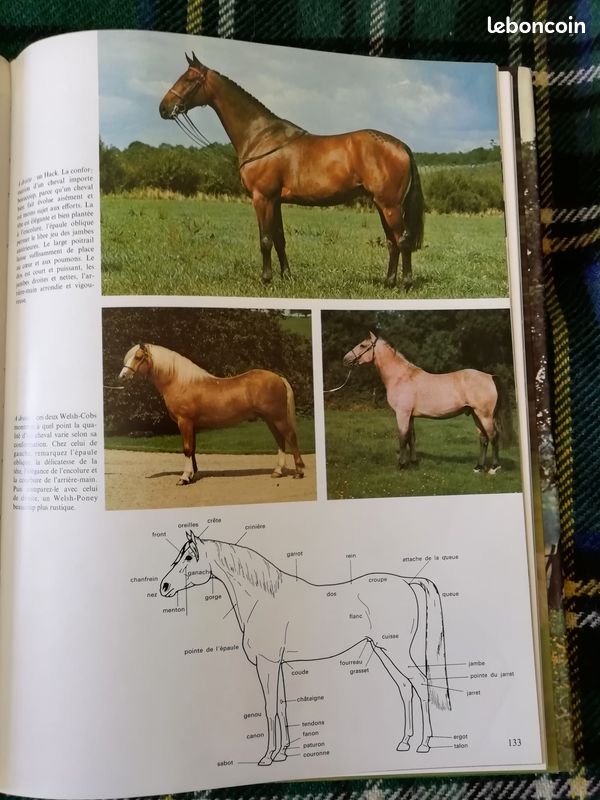 Le monde fascinant des CHEVAUX, livre relié (image 7)