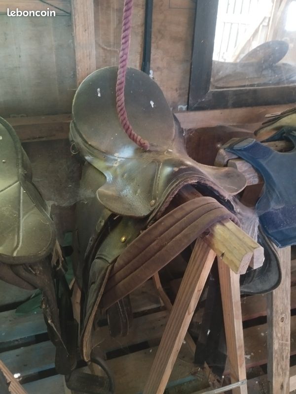Selle anglaise cuir (image 1)