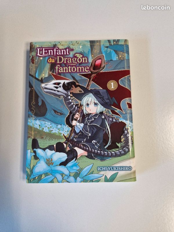 L'enfant du dragon fantôme tome 1 (image 1)