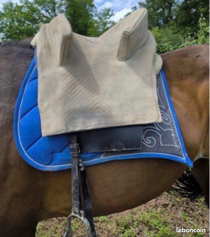 Achetez vos selles pour chevaux & poneys d'occasion