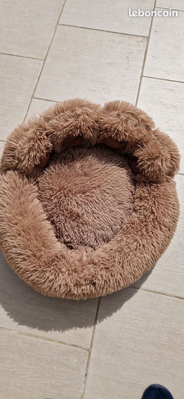 Coussin animaux patte d ours (image 3)