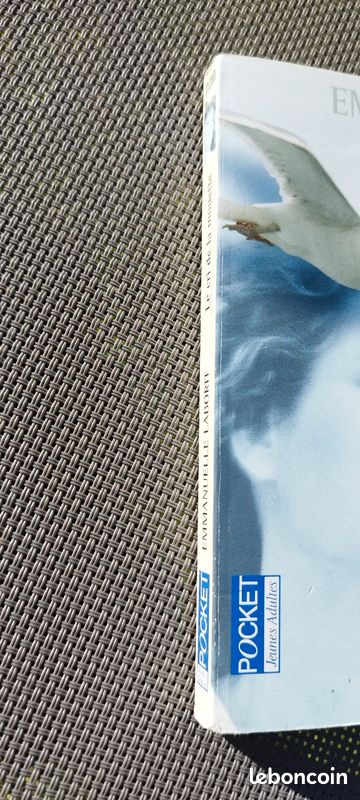 Le cri de la mouette (image 6)