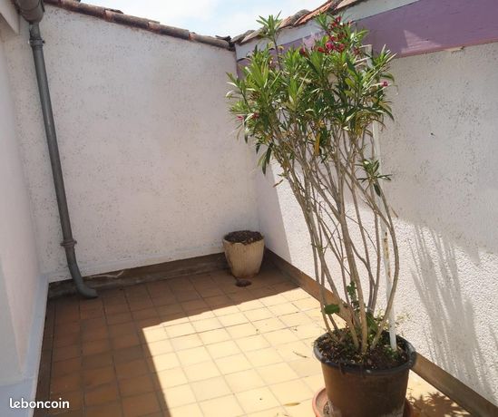 Studio 1 pièce 32 m²