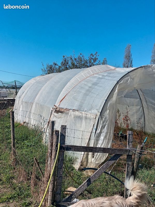 Serre de jardin (image 1)