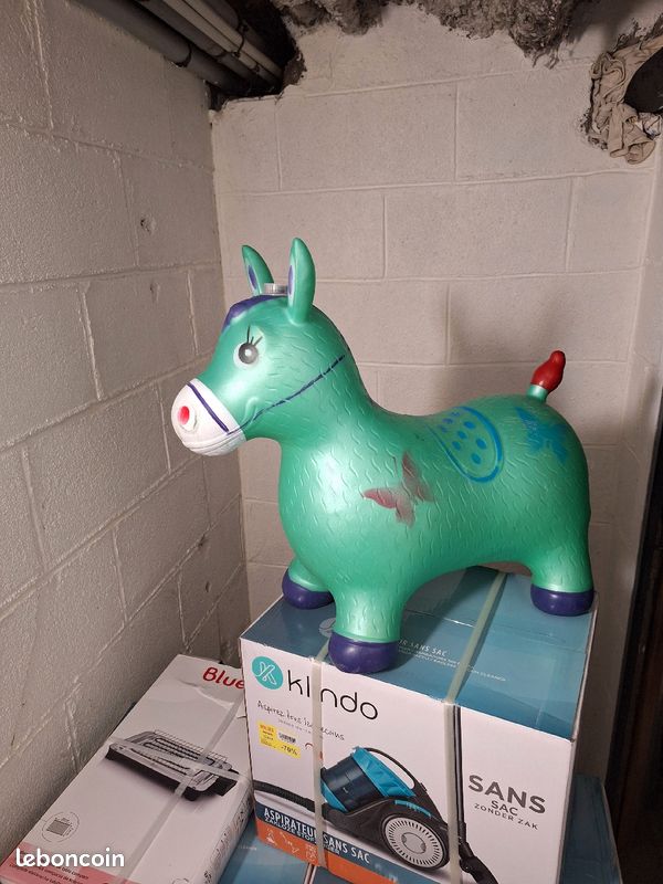 Petit poney (image 2)