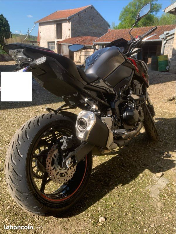 Z900 full 2023 (image 3)
