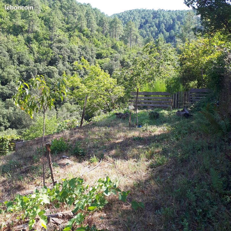 Emplacement pour tente (image 1)