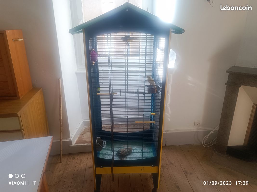 Accessoires pour oiseaux (image 2)