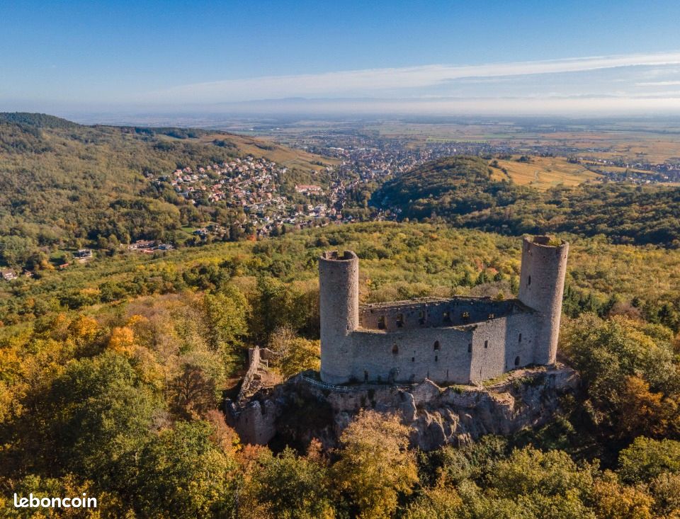 Terrain 452 m² Andlau · 89 500 €