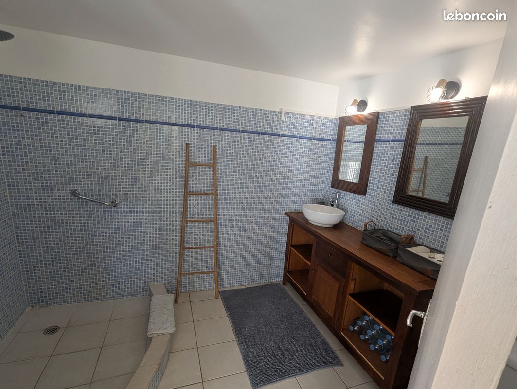 T2 dans un cadre paisible et luxuriant (image 4)