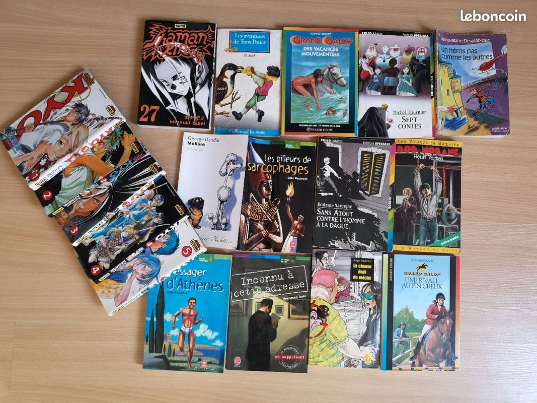 Lot de 18 livres ado enfants (dont 6 manga) - Livres