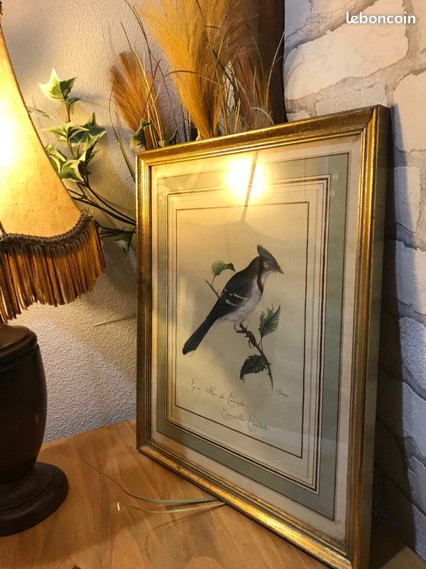 Tableau oiseau (image 1)