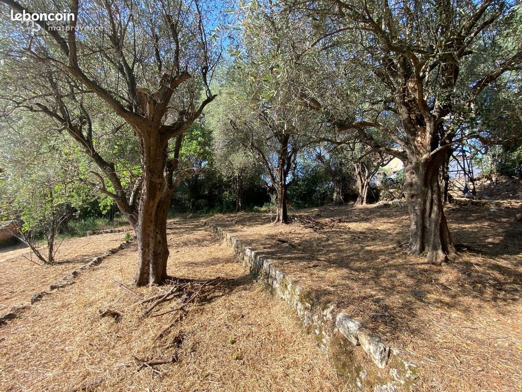 Terrain à bâtir de 846 m² à GRASSE (06) · 235 000 €