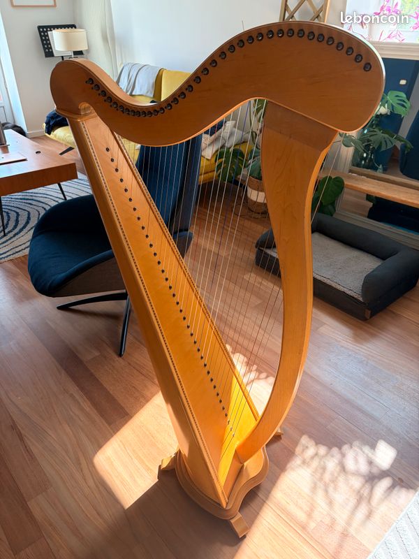 Harpe Celtique Mélusine de concert Camac (image 11)