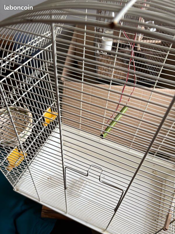Cage oiseaux (image 2)