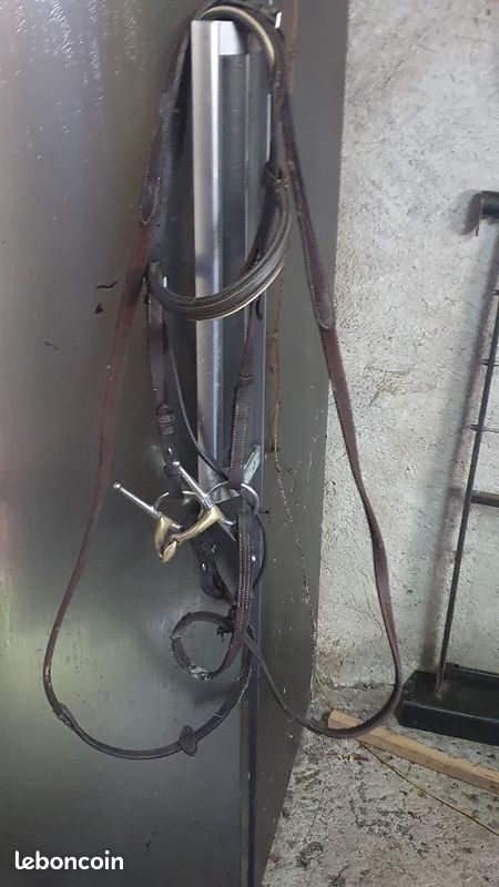 Selle WINTEC Cair et divers matériels équitation (image 2)
