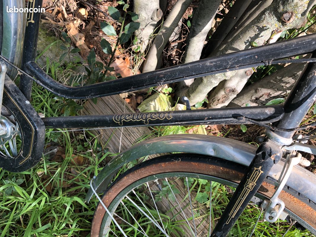Deux vélos peugeot vintage femme et homme (image 3)
