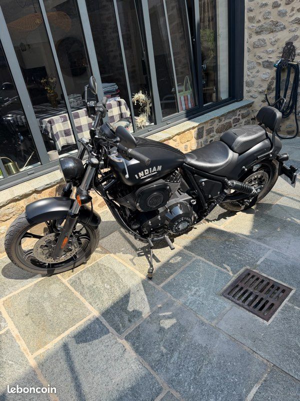 Indian chief dark horse (image 1)