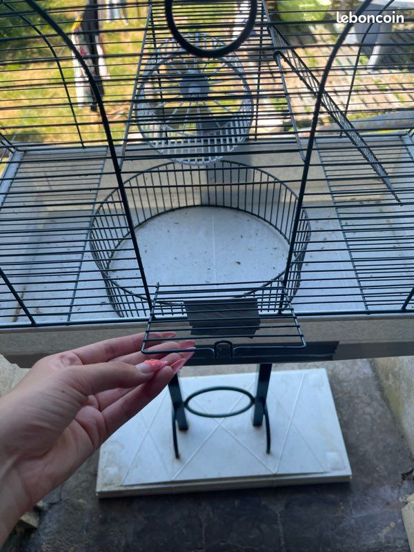 Cage hamster (image 1)