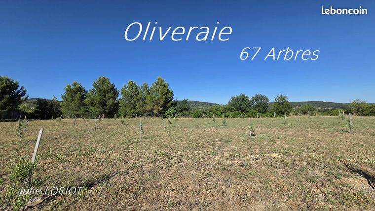 Terrain 3814 m² NEFFIES