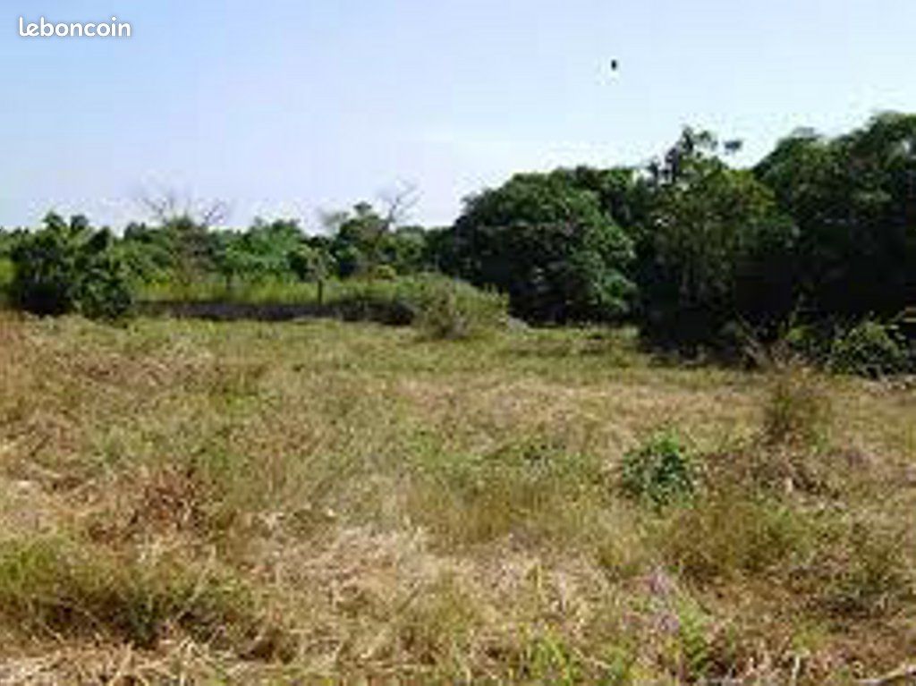 Terrain 645 m² Cissac Medoc · à Cissac-Médoc · 40 000 €