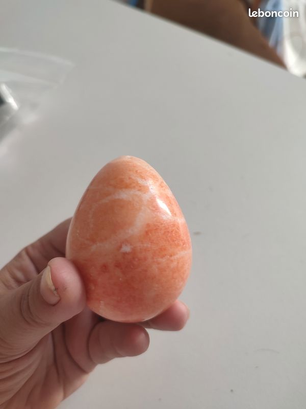 Oeuf à repriser (image 1)